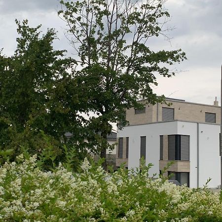Mosaikhaus Smart Home Würselen Exteriör bild