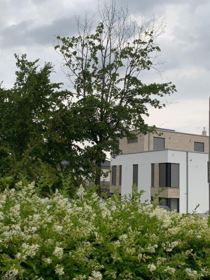 Mosaikhaus Smart Home Würselen Exteriör bild
